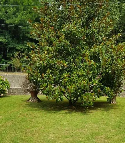 La Casa Di Marta * Piegaio Basso